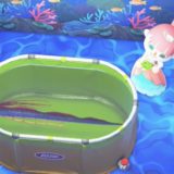 【あつ森】12月から出現するおすすめの生き物を紹介！